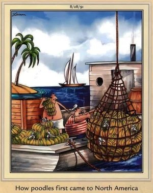 IMG_4483.webp IMG_4483.webp