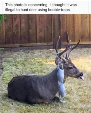 image_D753F17C-E61D-4B8B-A96E-043454C69036.webp image_D753F17C-E61D-4B8B-A96E-043454C69036.webp