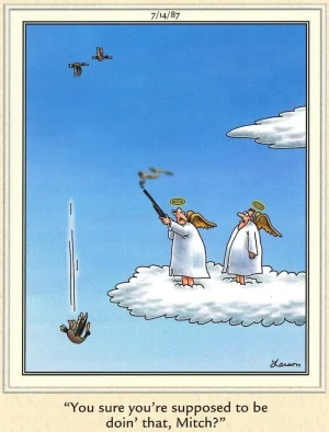 IMG_3012.webp IMG_3012.webp