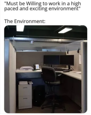 IMG_2396.webp IMG_2396.webp