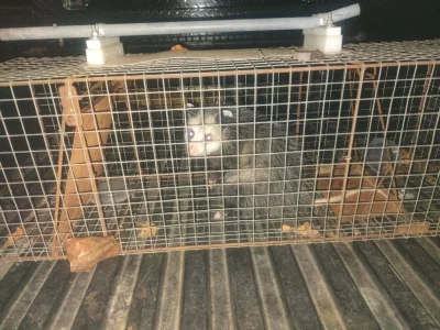 1000001938.webp 1000001938.webp