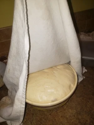 17309454667537992164722590409660.webp 17309454667537992164722590409660.webp