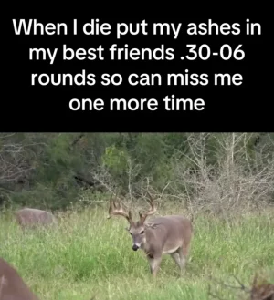 IMG_7704.webp IMG_7704.webp