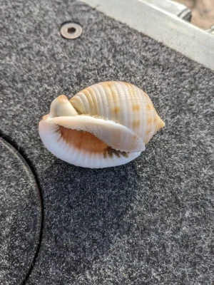 PXL_20241110_134807239.webp PXL_20241110_134807239.webp