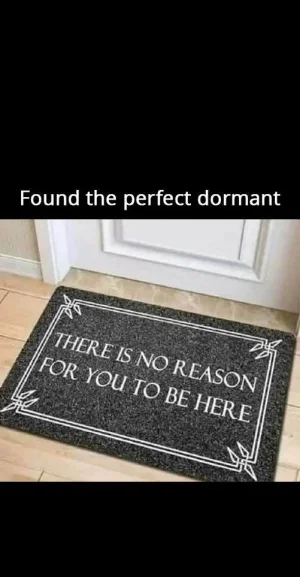 doormat.webp