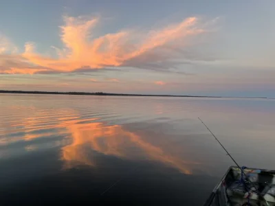 IMG_9675.webp IMG_9675.webp