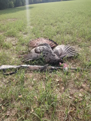 IMG_20250415_095316133.webp IMG_20250415_095316133.webp