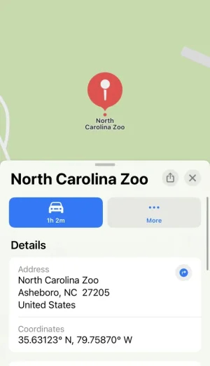 80ABF385-493D-4D8A-ADB0-E9F135091E86.webp 80ABF385-493D-4D8A-ADB0-E9F135091E86.webp