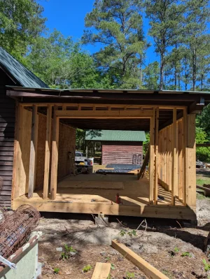 PXL_20250522_144915251.webp PXL_20250522_144915251.webp