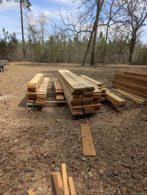 IMG_20250617_092552.webp IMG_20250617_092552.webp