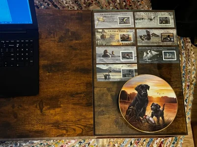 IMG_7155.webp IMG_7155.webp