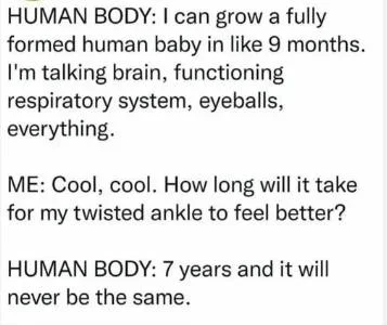 1751771208507.webp 1751771208507.webp