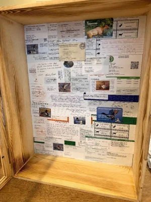 IMG_9515.webp IMG_9515.webp