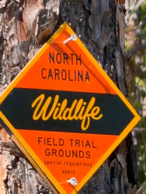 A0C1B2A2-1158-4E77-B2F3-B1F4B3CE7FF3.webp A0C1B2A2-1158-4E77-B2F3-B1F4B3CE7FF3.webp