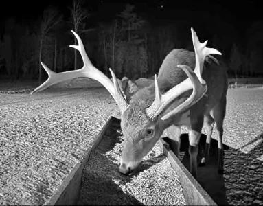 02.15.26 Big Boy Still Has Both Sides_Crop.AutLvL.BkLt.Shp40.ConEMid.RS61.webp